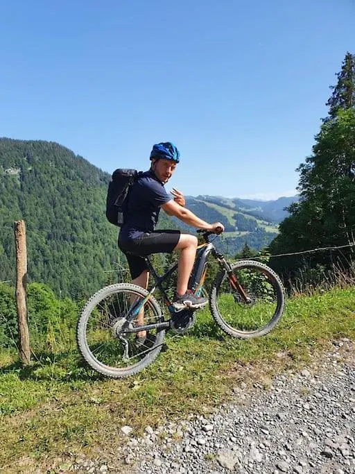 Appartement La Duchère Le Plan-la Giettaz massif des Aravis