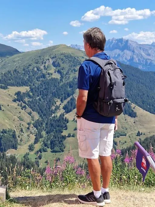 Appartement La Duchère Le Plan-la Giettaz massif des Aravis 0*,
