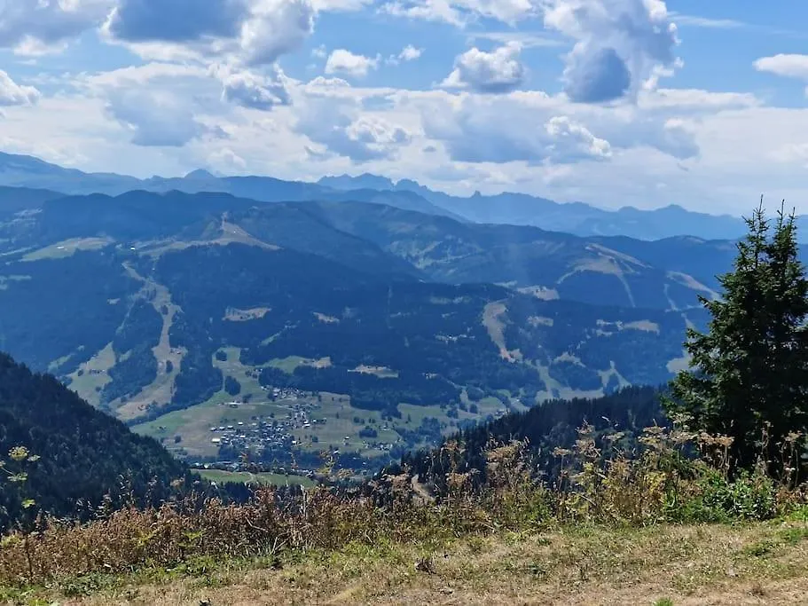 Appartement La Duchère Le Plan-la Giettaz massif des Aravis